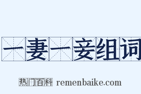 一妻一妾组词是什么意思的图片